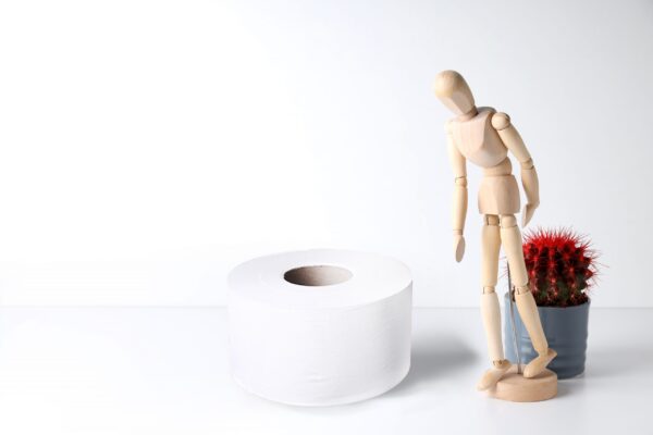 Rouleau de papier hygiénique 2 plis - Image 2