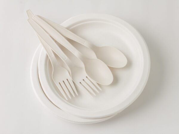 Assiette ronde biodégradable 10" - Image 2